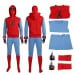 SpiderMan Outfits Cosplay Costume